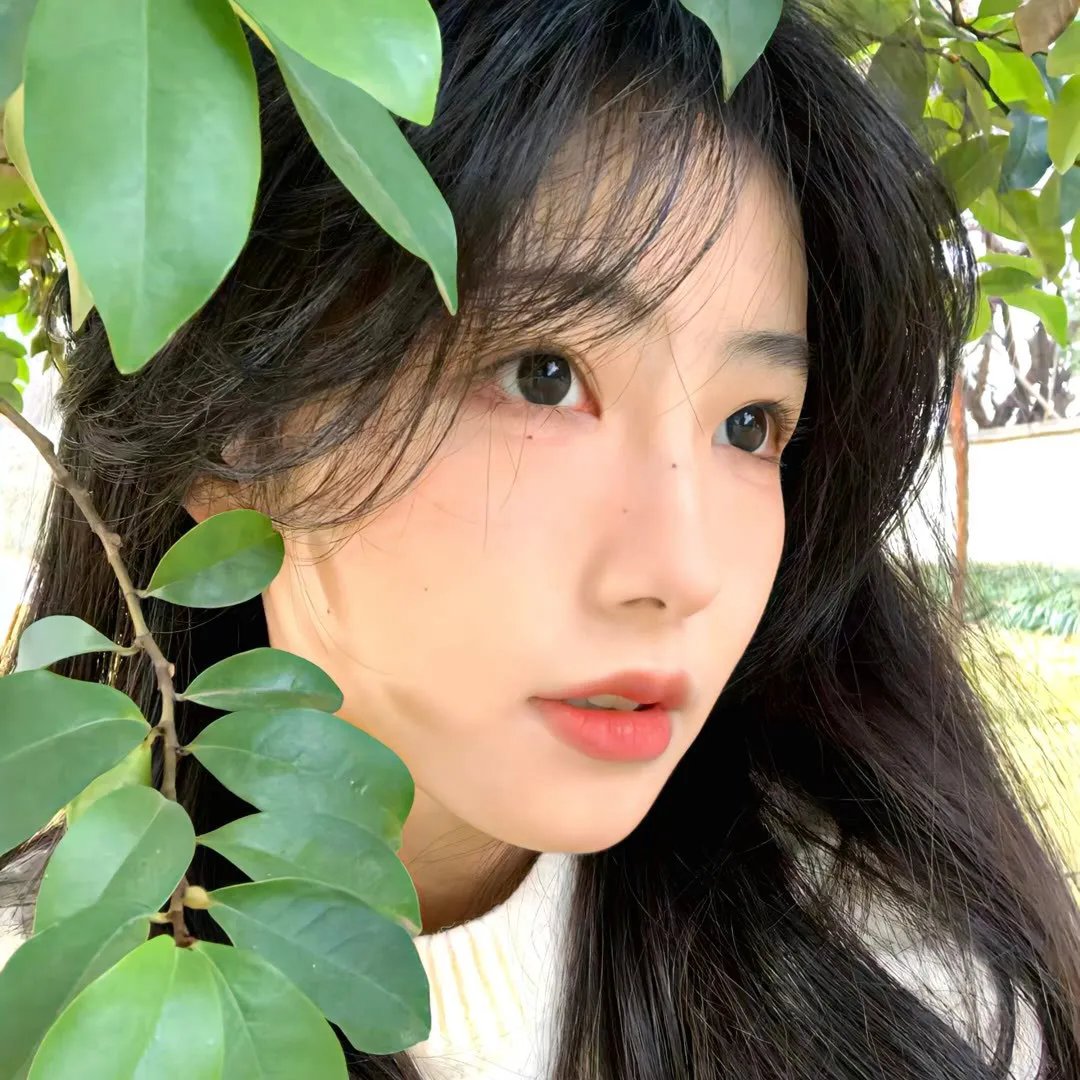校园秘密档案